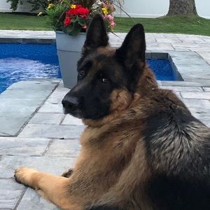 Meet your Posher, Heather